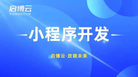 微信小程序开发成本真的很低吗？怎么选择微信小程序开发公司？